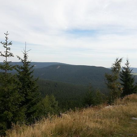 Penzion U Mlyna Rejvíz Exterior foto